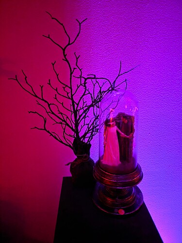 20251027_201301