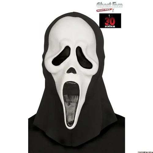 93828-mask-and-shroud.jpg