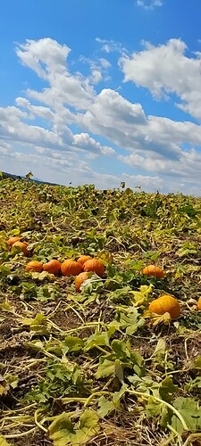 Screenshot_20250913-151808