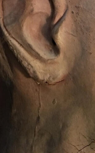 9870