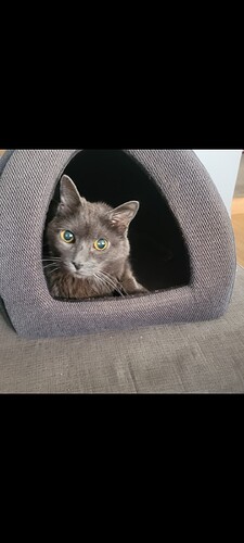 Screenshot_20251013_102457_Gallery