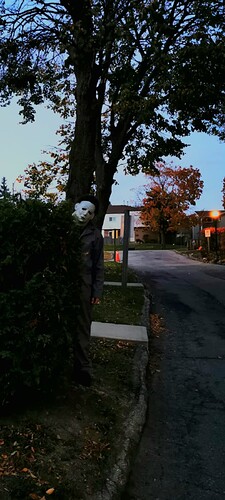 Screenshot_20250925_075820_Gallery