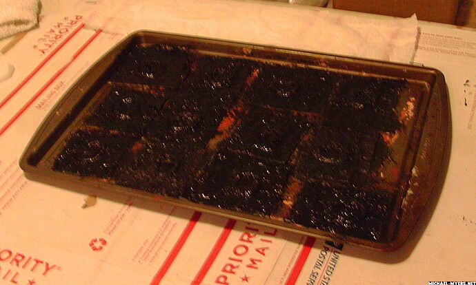 IMAG6856