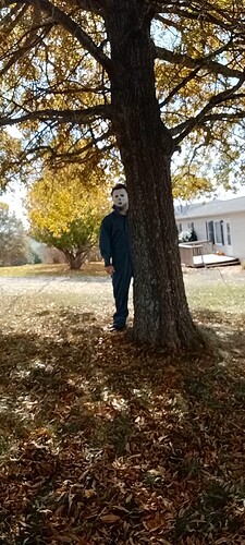 VideoCapture_20241030-150623