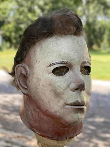 21321