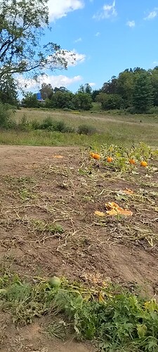 Screenshot_20250913-151546