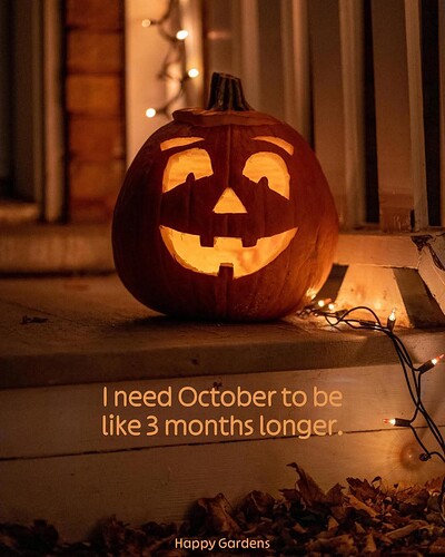 FB_IMG_1760574227143