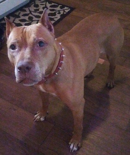 6a4b6fb8-78a9-49bb-9373-17d0ca7cb1a5