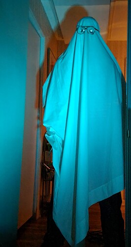 e7fc732c-03de-48de-86ba-2813e53bf44c-1_all_2292