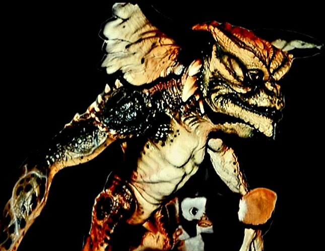 1000047678