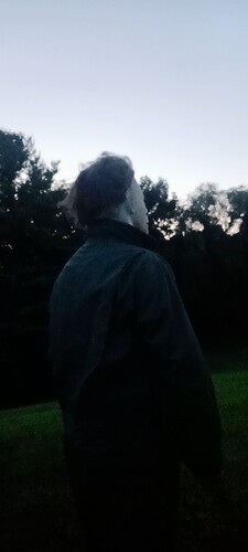 VideoCapture_20240810-213116