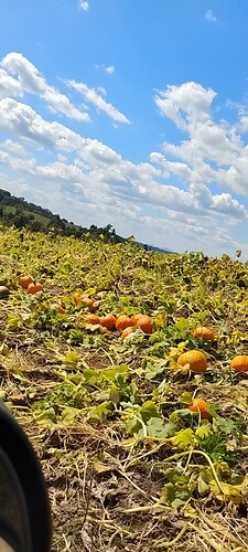 Screenshot_20250913-151746