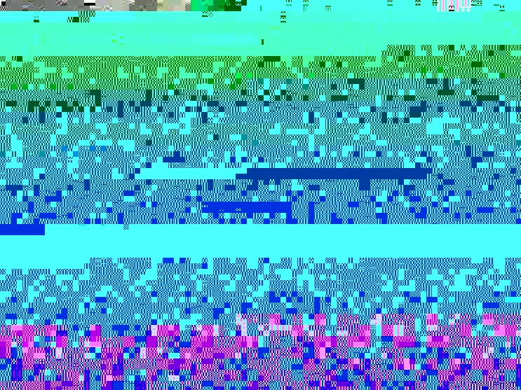 a9.jpg
