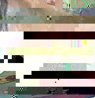 Jam007.jpg