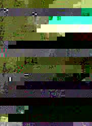 Jam006.jpg