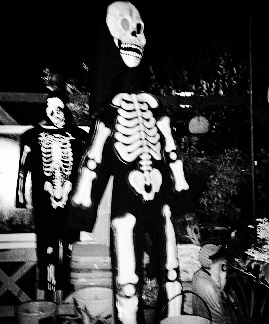 12196250_10205136758928013_271877646417829322_n.jpg
