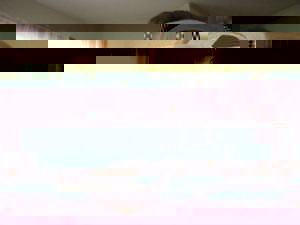 98 shat.jpg