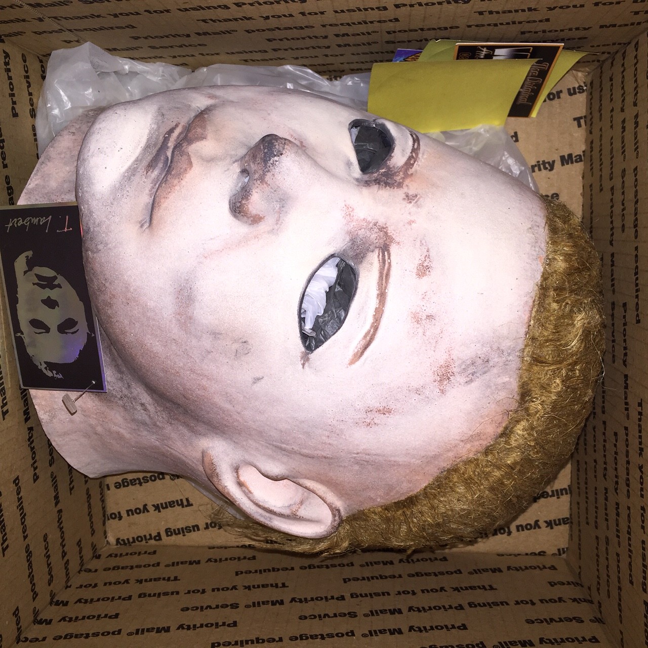 image1.jpeg