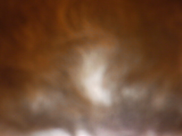 SUNP0044.JPG