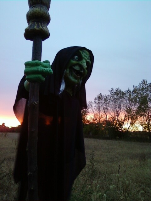 Witch 2012.JPG