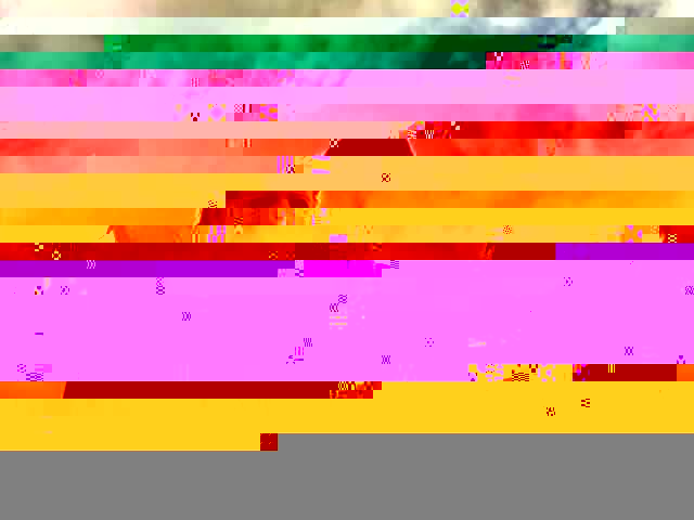 Solarized~.JPG