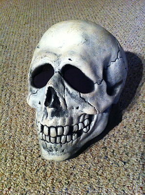 h3 skull.JPG