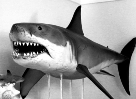 brucethesharkpi.jpg