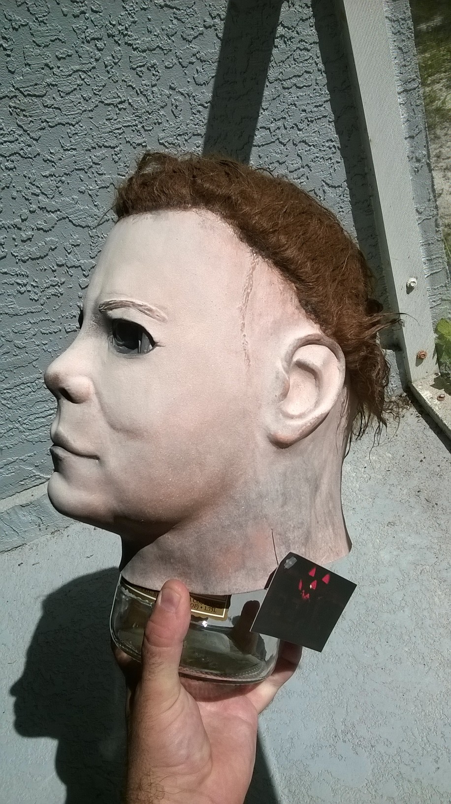 WP_20151010_036.jpg