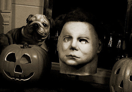 vpictshalloween.jpg