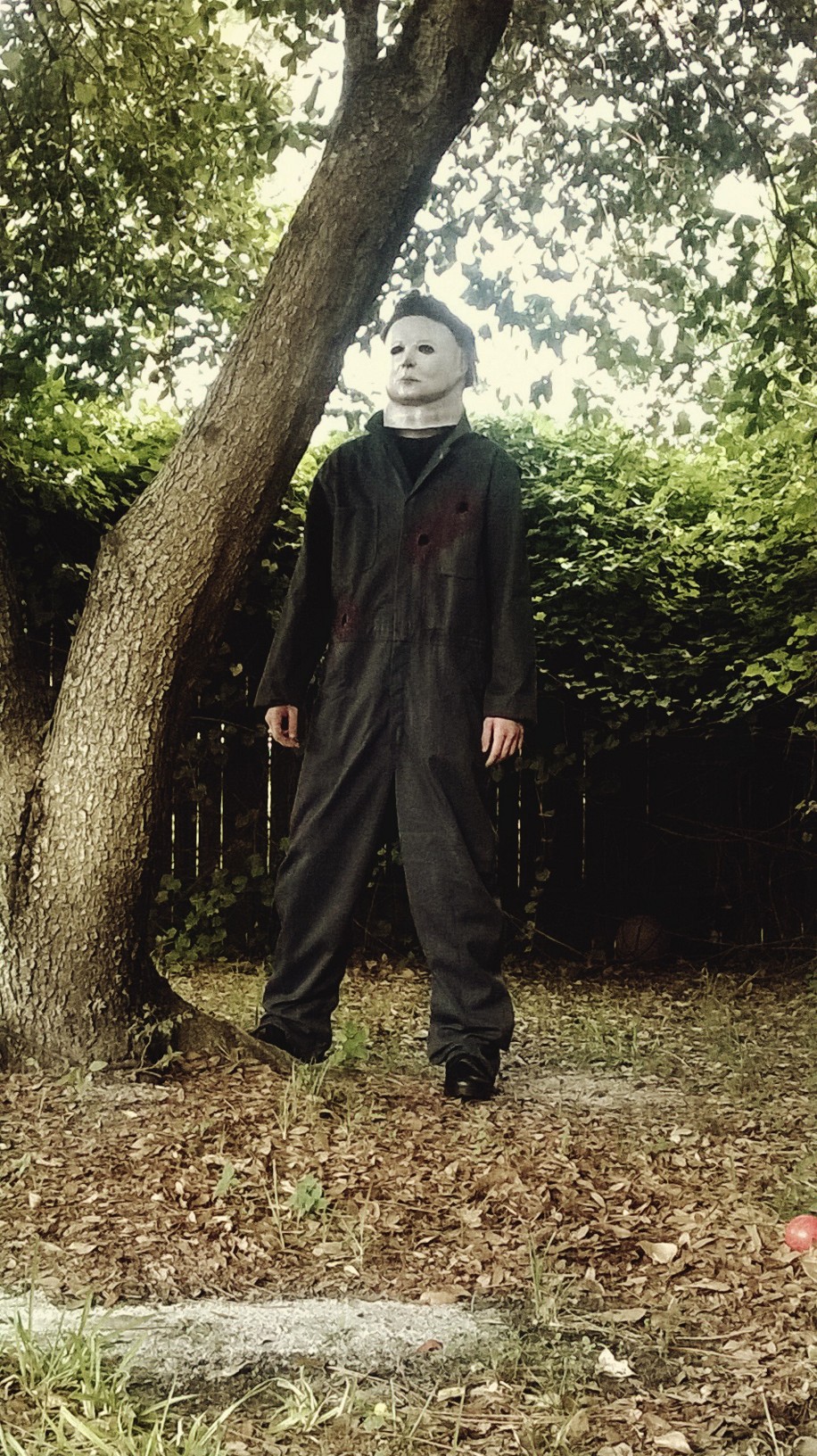 WP_20150622_010.jpg