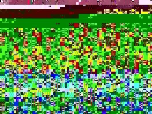 a9.jpg