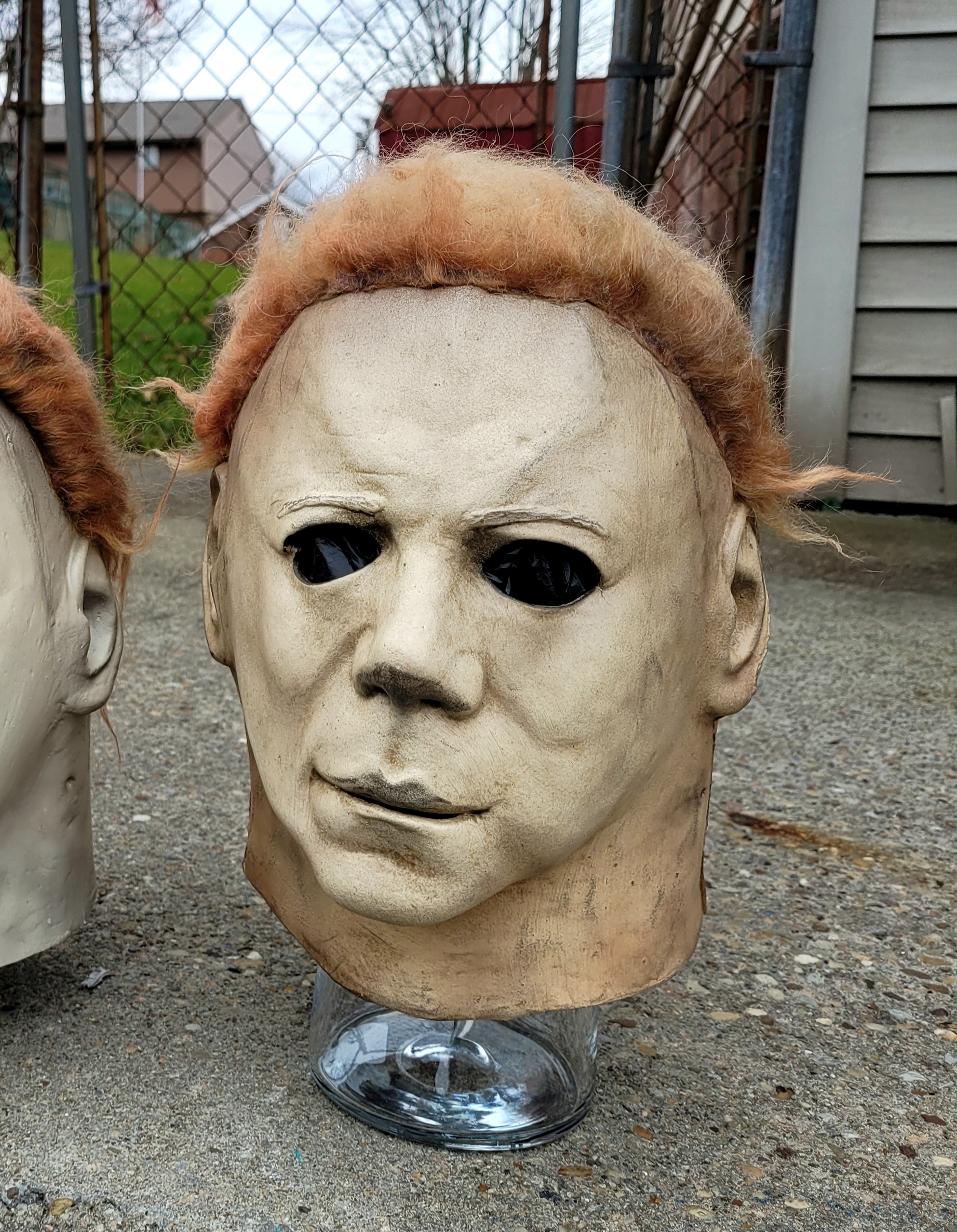 20221214_141311_resized (1).jpg