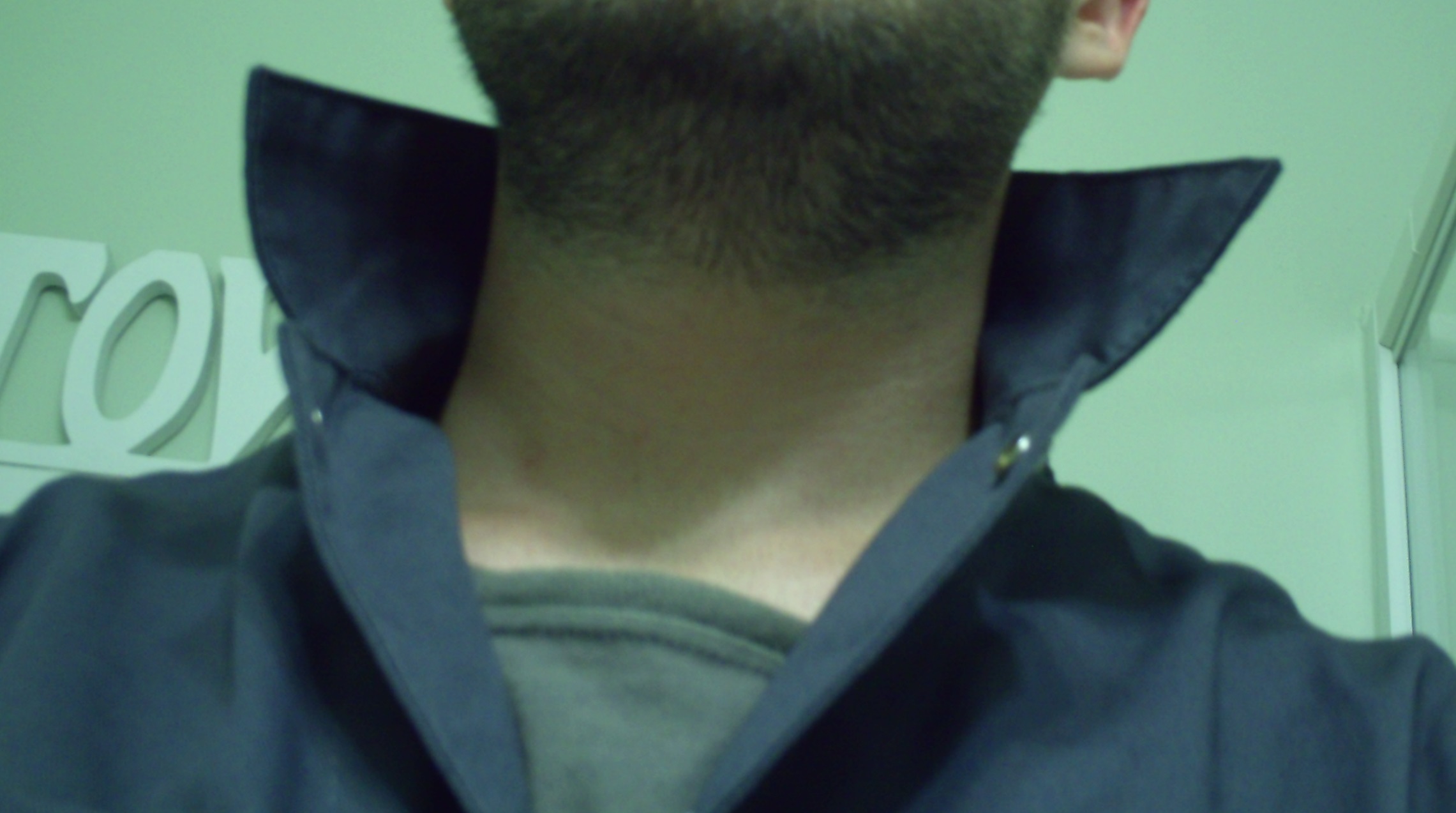 COLL.JPG