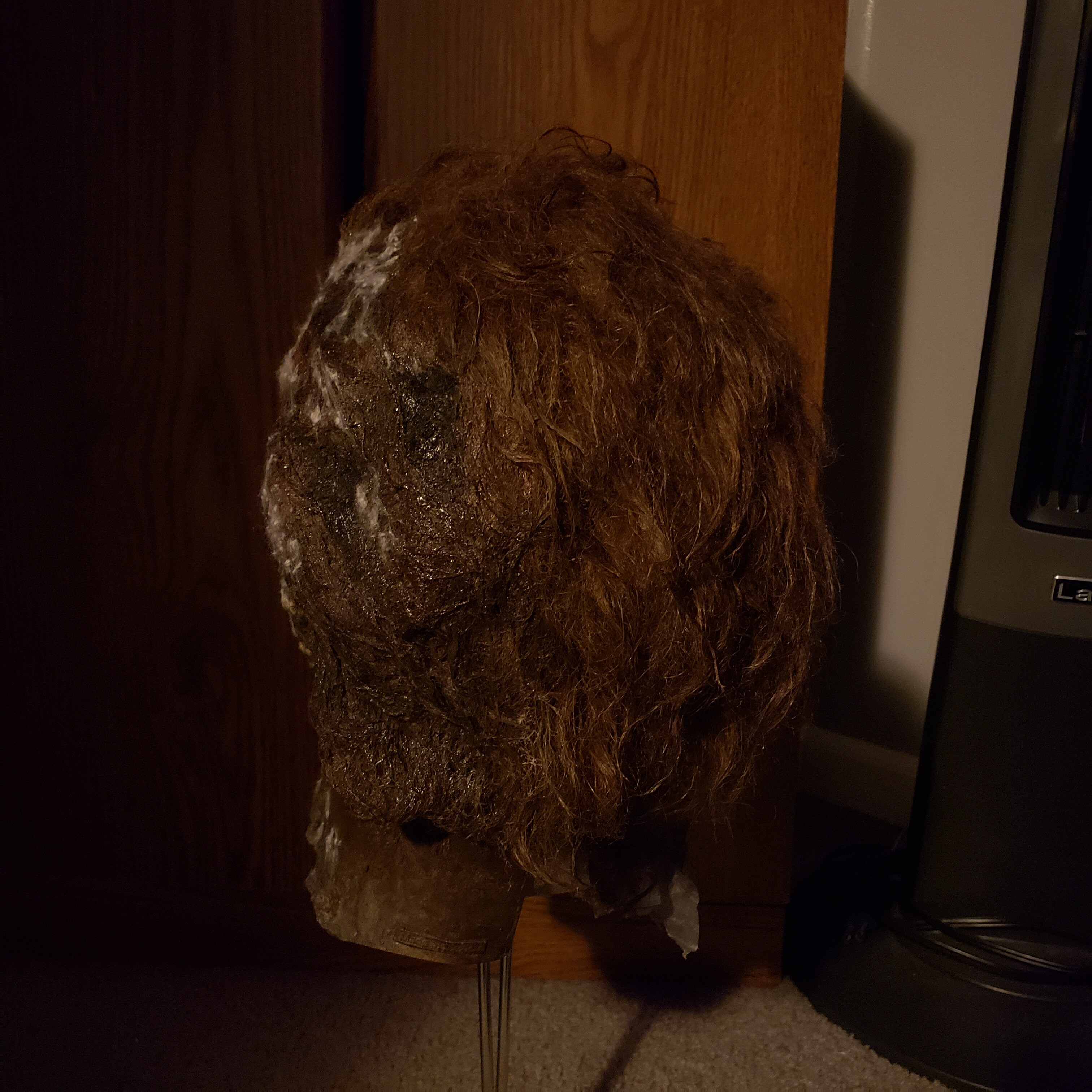 20221030_234747.jpg