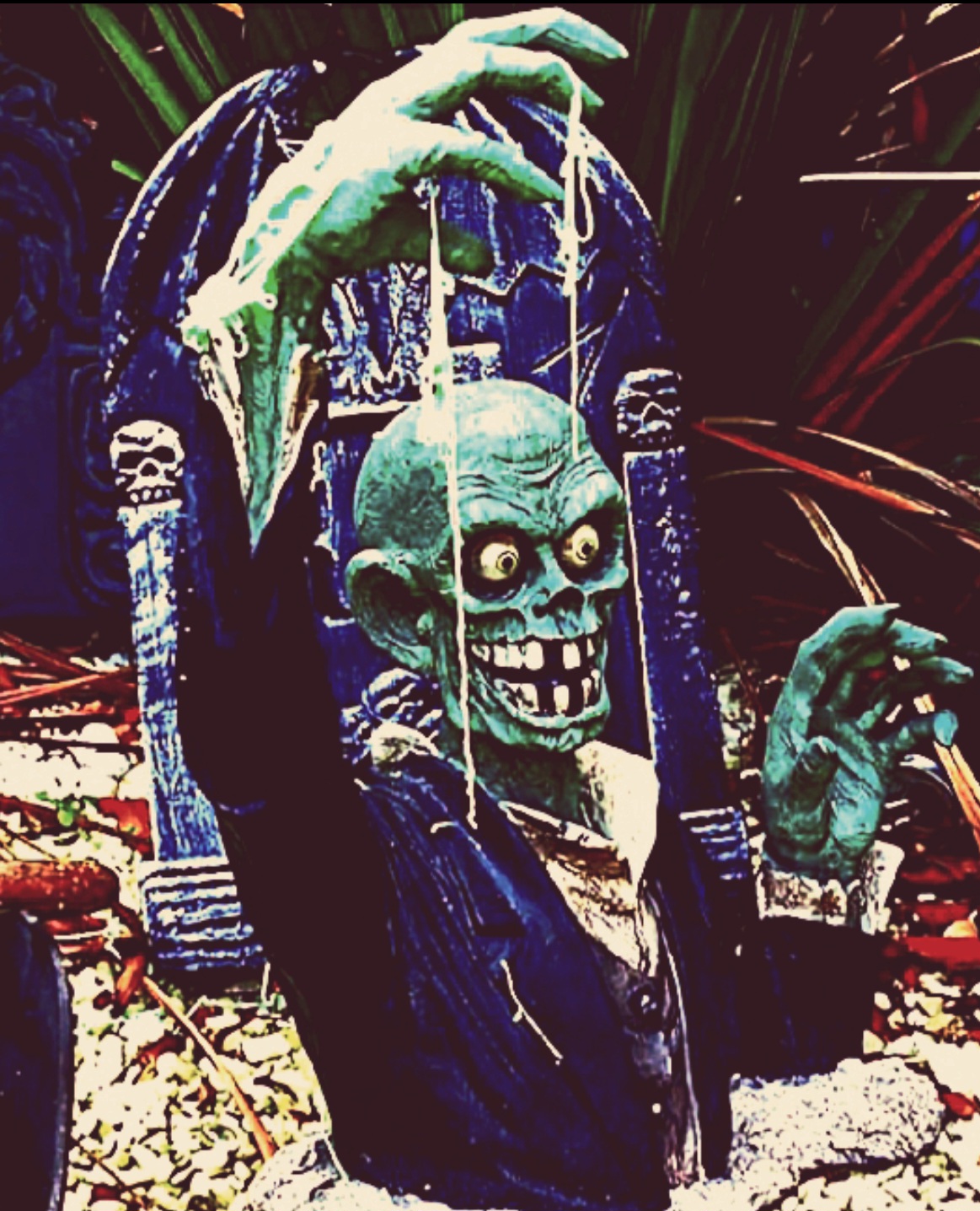 Screenshot_20240401_103145_Photo Editor.jpg