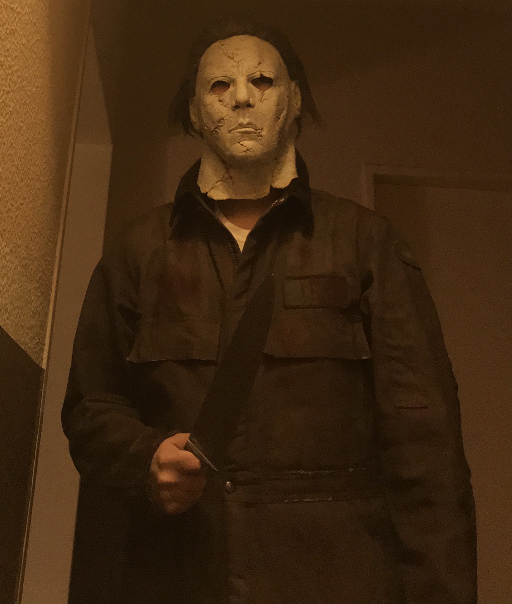 DT Gen 4 Buried and Carhartt X02 coveralls for sale For Sale Michael Myers forum