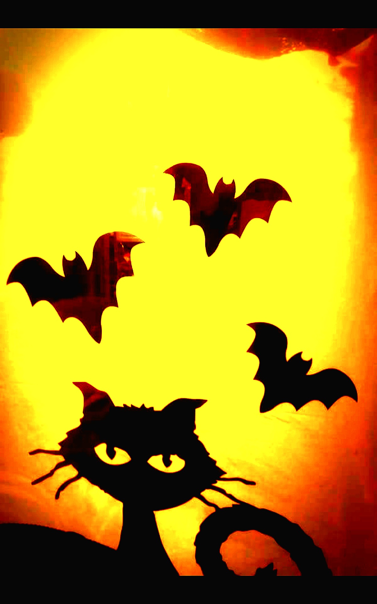 Screenshot_20231022_172050_Gallery.jpg