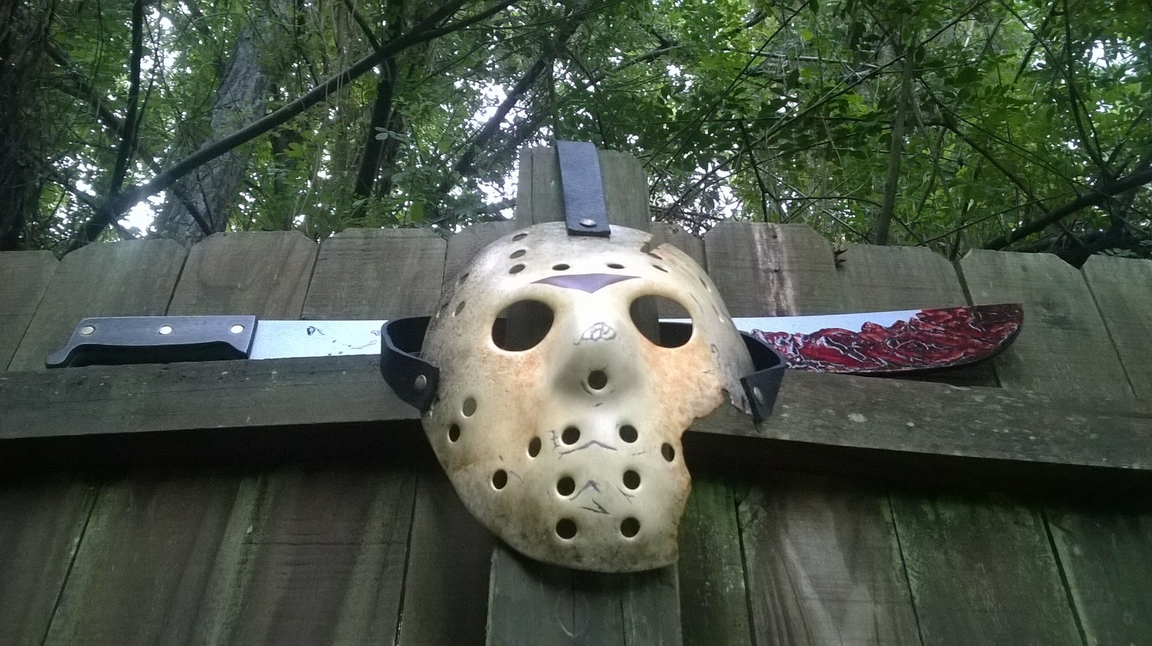 WP_20160901_004.jpg