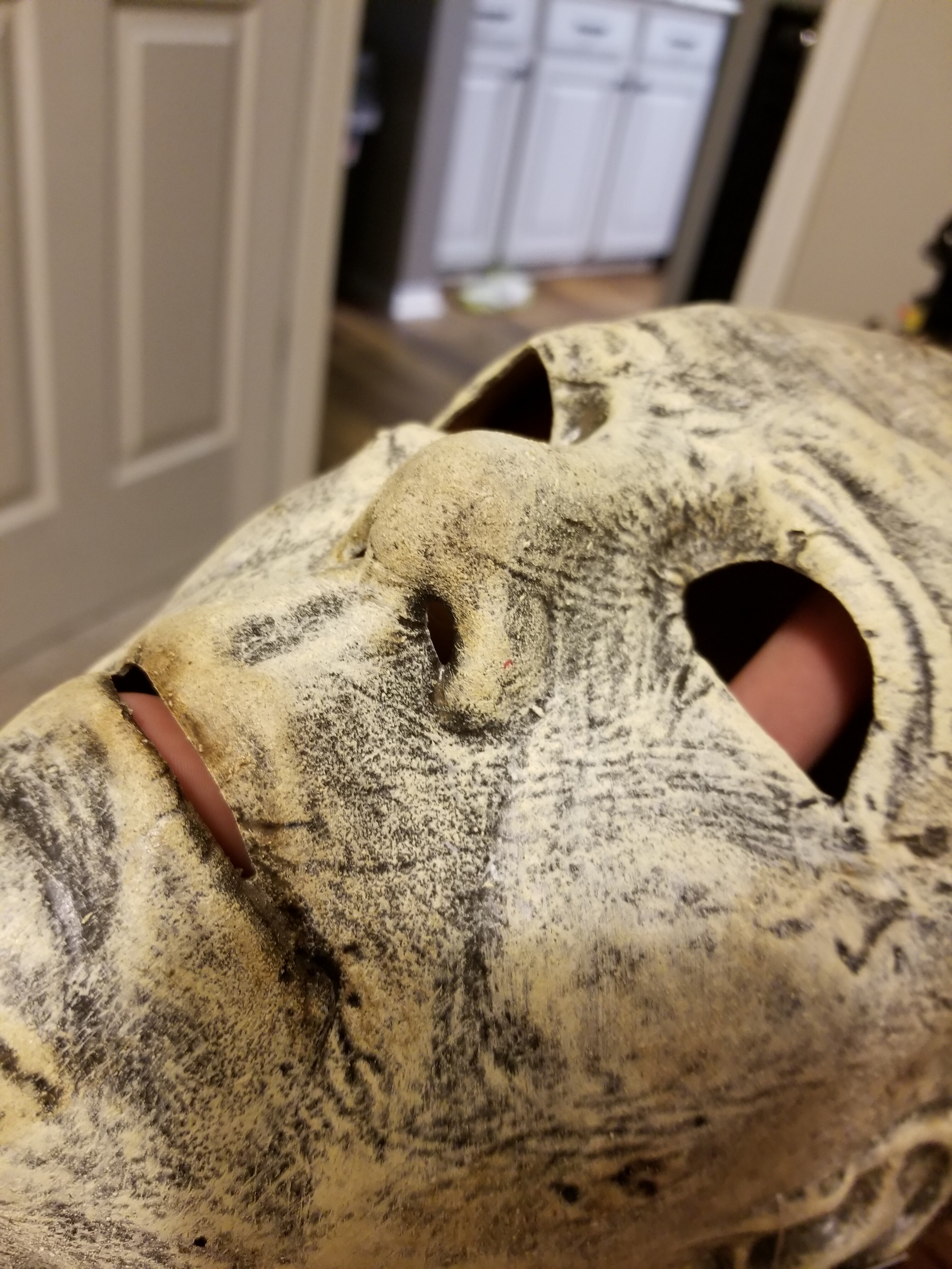20181010_183152.jpg