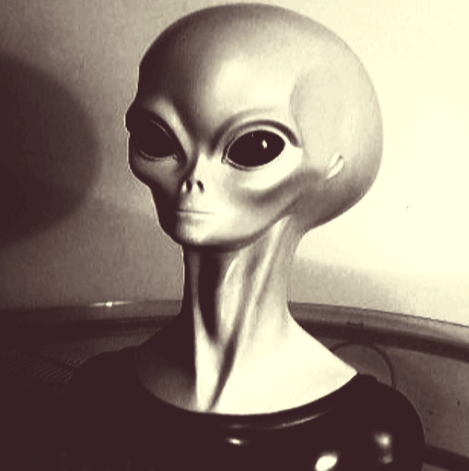 Screenshot_20231207_184216_Gallery.jpg