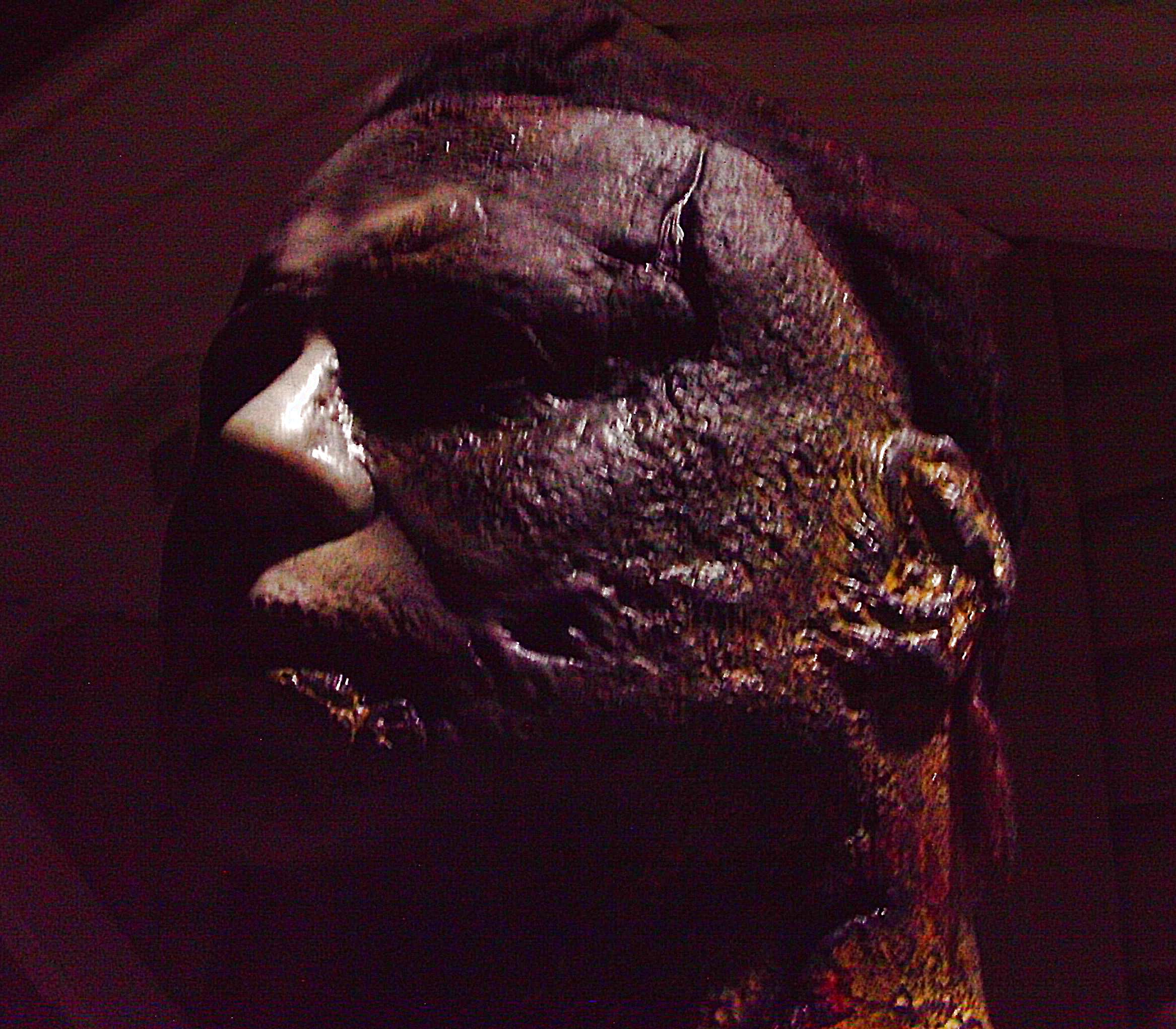 IMAG8765.JPG