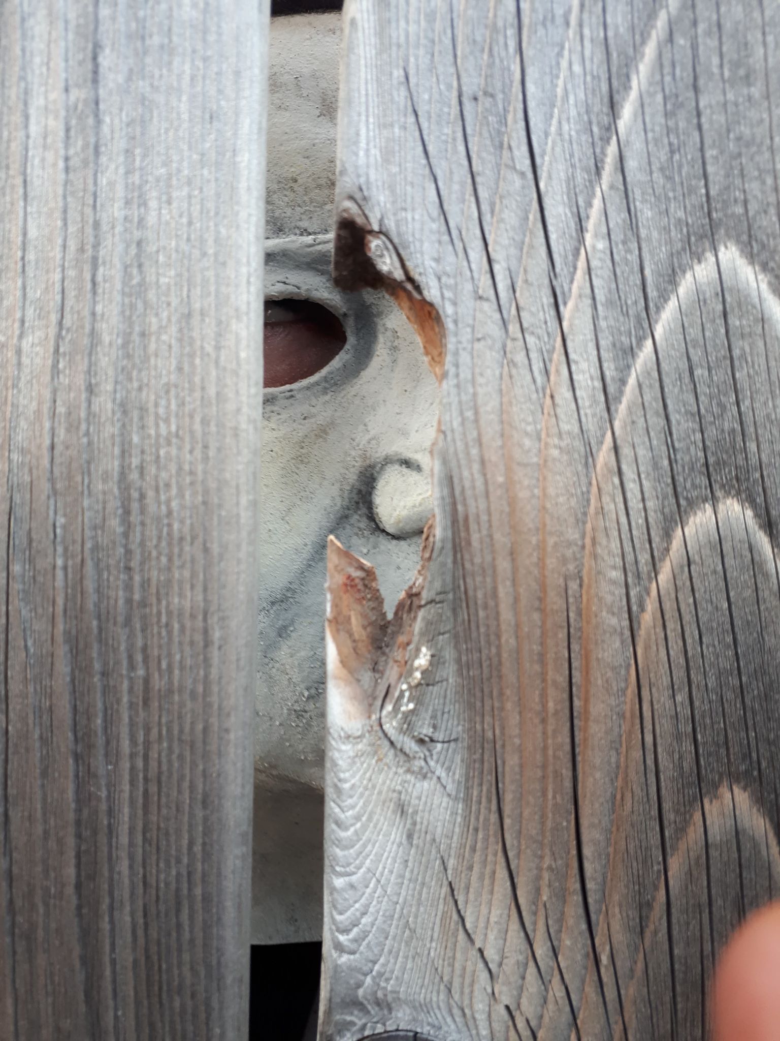 fence 3.jpg