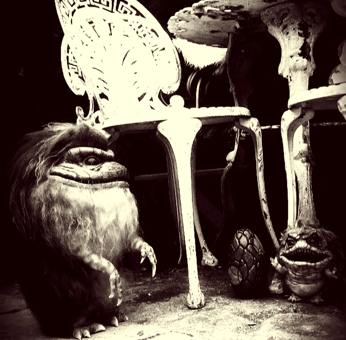 Screenshot_20231212_145019_Gallery.jpg