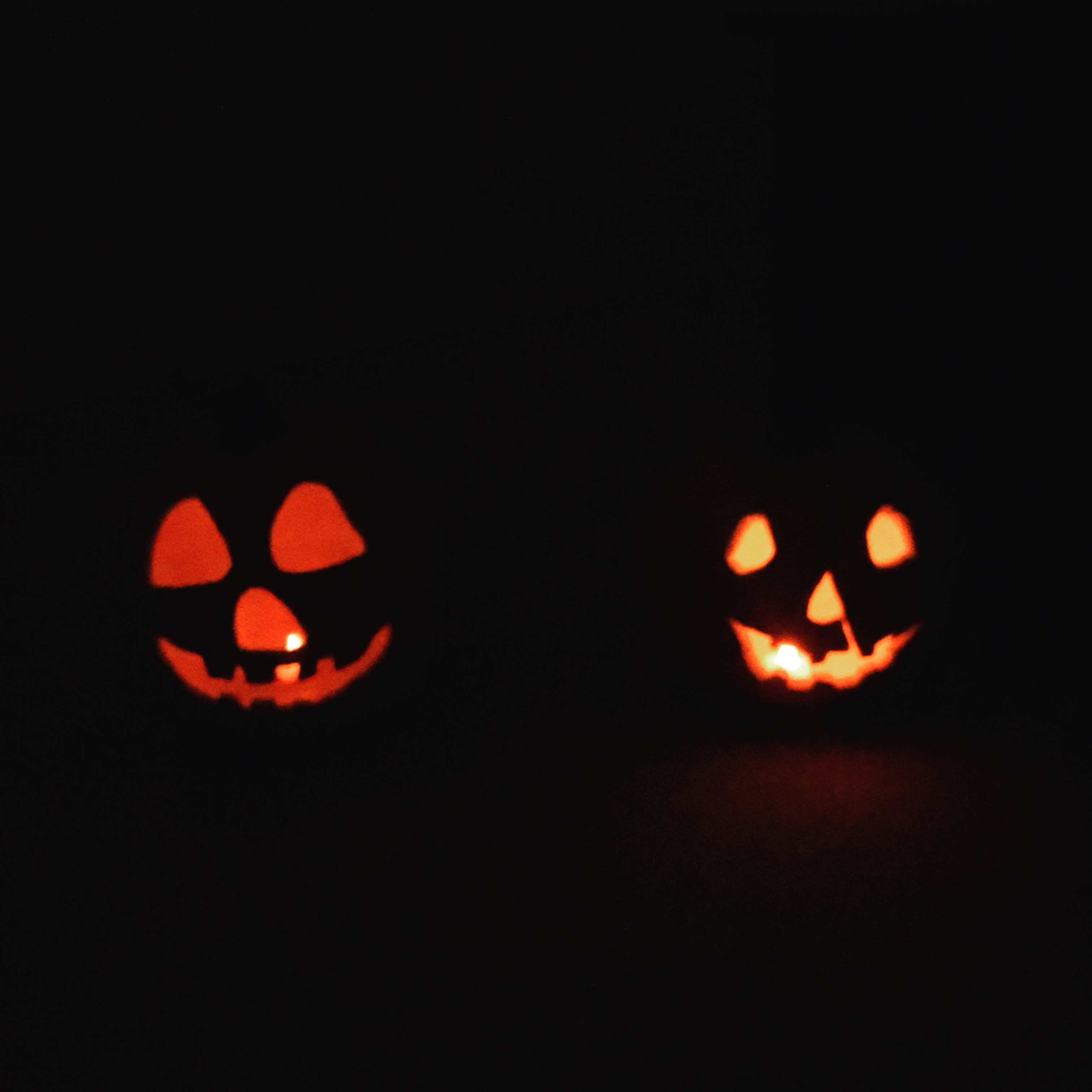 9065B09B-2EE2-4E58-9549-EAA38E1BEC42.jpeg