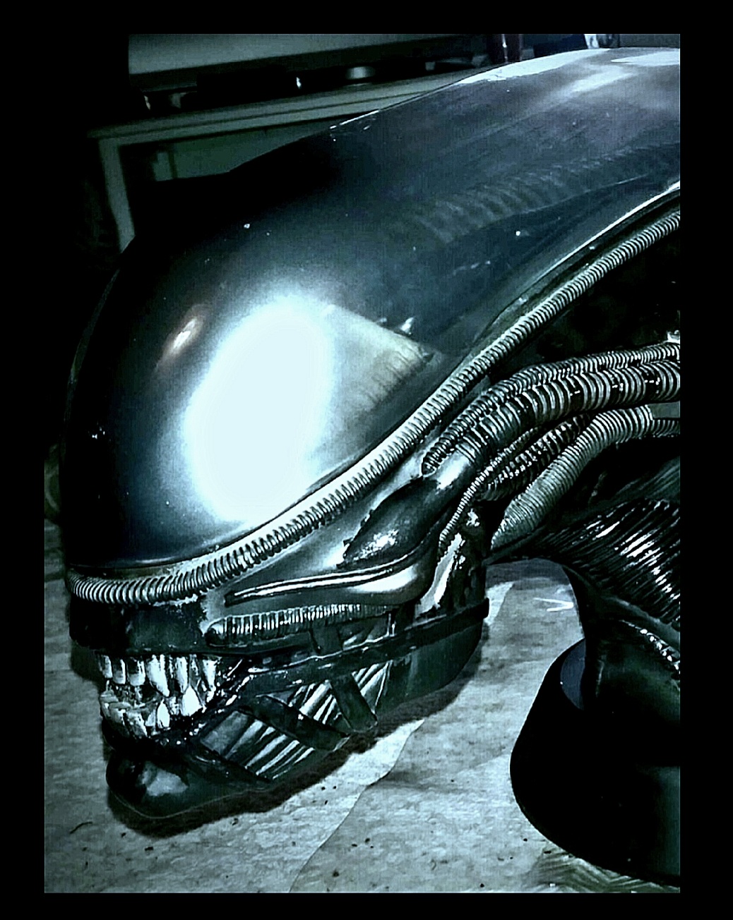 Screenshot_20240425_213354_Photo Editor.jpg