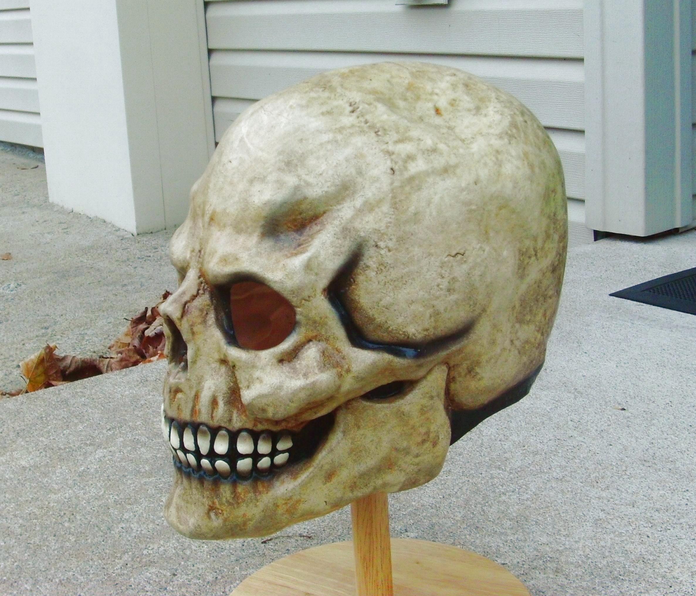 IMAG4019.JPG