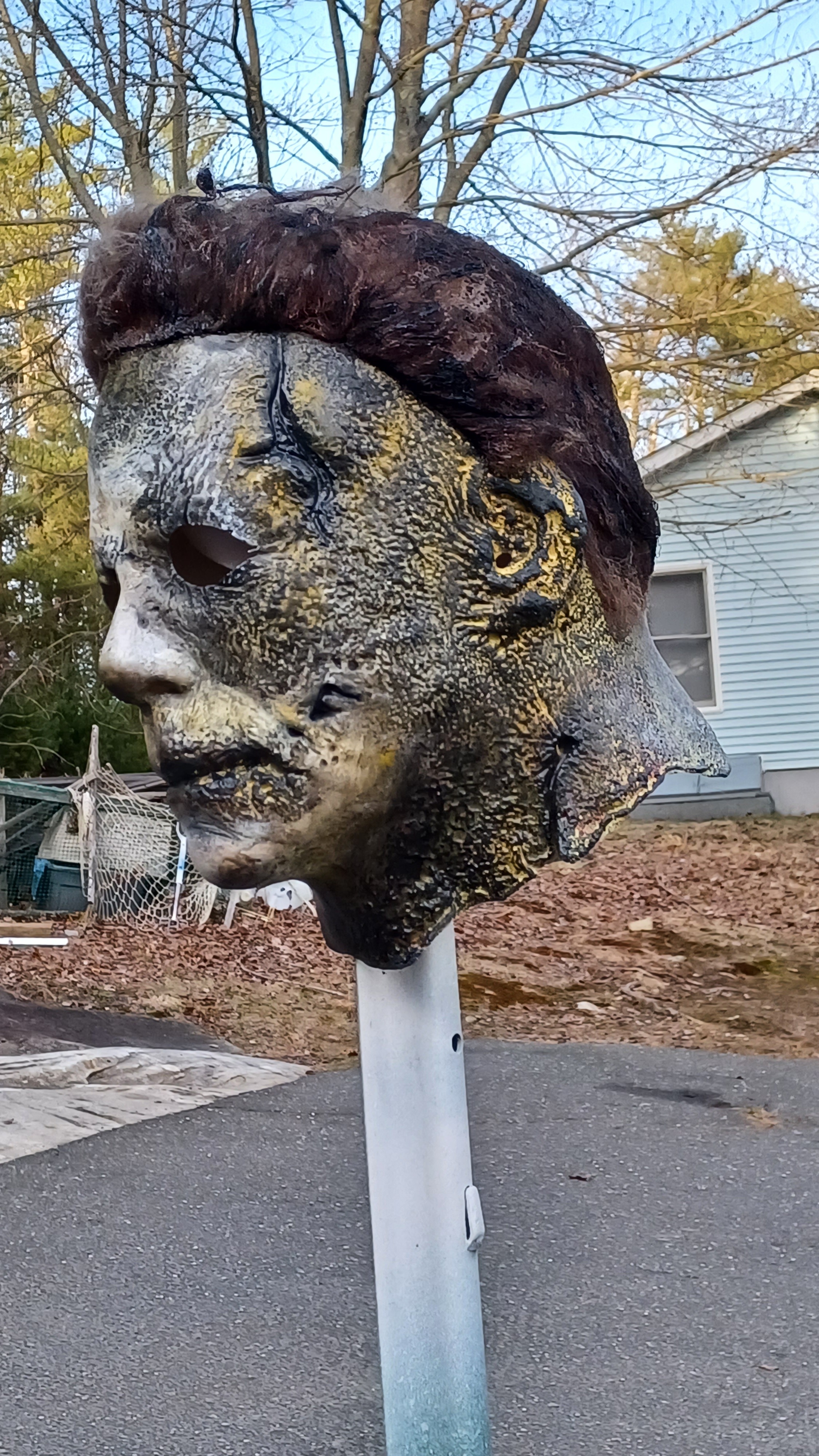 20230324_174859.jpg