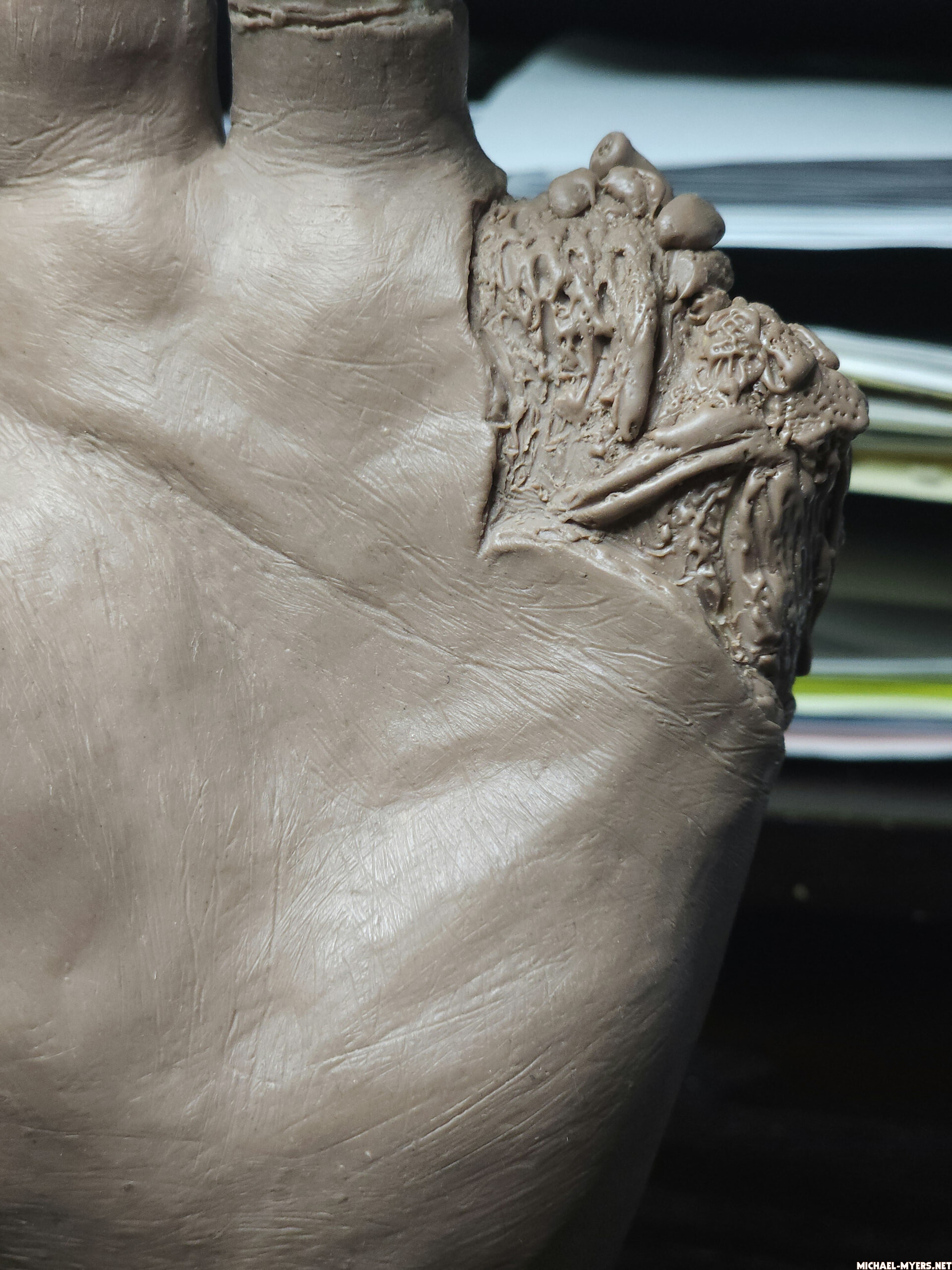 Questions about plaster molding - General Discussion - Michael Myers forum