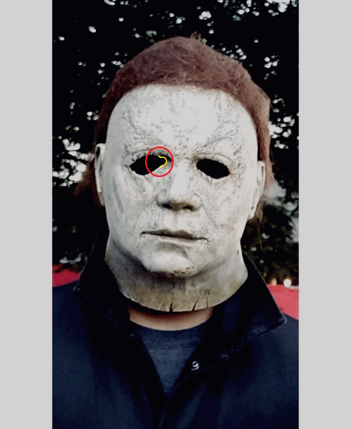 myers2018eyee.jpg