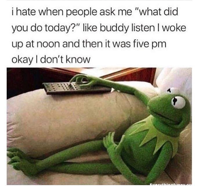 kermitmeme.jpg